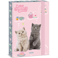 Ars Una: Animali carini - Tea Party, scatola per quaderni A4 con gatti