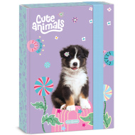 Ars Una: Animali carini - scatola per quaderni A5 con cani Aussie