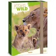 Ars Una: Icons of the Wild Lions scatola portadocumenti formato A4