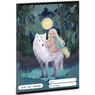 Ars Una: Northern Lights A5 quaderno a righe per la 1ª elementare 14-32