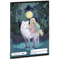 Ars Una: Northern Lights quaderno senza righe A5 20-32
