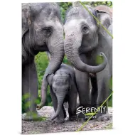 Ars Una: Serenità – Cartellina con elastico formato A/4 Elefante