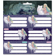 Ars Una: etichette per quaderni "Northern Lights" in confezione da 3x6 pezzi