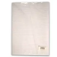 Carta a righe formato A3, 20 fogli