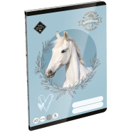 ICO: LizzySuli Wild Beauty Sport Club quaderno a righe per la 3ª elementare A/5 12-32