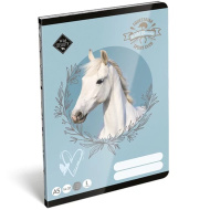 ICO: Lizzysuli Wild Beauty Sport Club, quaderno a righe per la 1ª elementare