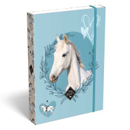 ICO: Lizzysuli Wild Beauty Sport Club scatola porta quaderni a fantasia A5