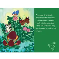 Kipkopp nellerba diaproiettore
