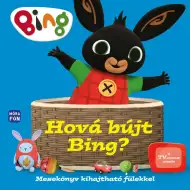 Móra: Dove si è nascosto Bing? Libro illustrato con alette da sollevare