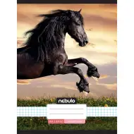 Nebulo: Quaderno a quadretti pinzato - Cavallo al tramonto, fantasia 87-32 A/4