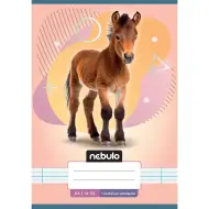 Nebulo: Quaderno a righe per la 1ª classe A5 14-32 con animali - Cavalli