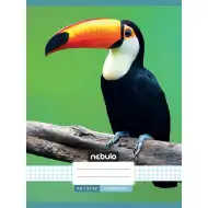 Nebulo: Quaderno cucito a quadretti con motivo di tucano 87-32 A/4