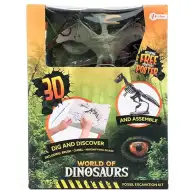 Set archeologico di dinosauro in diverse varianti, 1 pezzo