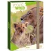 Ars Una: Icons of the Wild Lions scatola portadocumenti formato A4