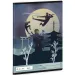 Ars Una: Ninjas in the dark quaderno semplice A/5 20-32