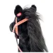 Baron cavallo a bastone con suono - Woodyland