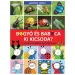 Bogyó e Babóca: Chi è chi? I personaggi della serie nella natura - Pagony