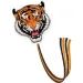 Deltaplano tigre