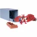 Dragon Trainer: Draghi da Arena da Collezione - Spin Master