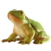 Figura giocattolo rana verde - Bullyland