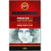 ICO: Matita in grafite Progresso 8911/HB 12 pezzi Koh-I-Noor