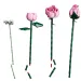 LEGO® Botanicals: Bouquet di rose rosa (10374)