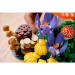 LEGO® Botanicals: Funghi del bosco (11505)