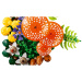 LEGO® Botanicals: Funghi del bosco (11505)