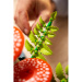 LEGO® Botanicals: Funghi del bosco (11505)