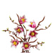 LEGO® Botanicals: Rami di magnolia (11510)
