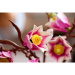 LEGO® Botanicals: Rami di magnolia (11510)