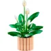 LEGO® Botanicals: Spatifillo (11504)