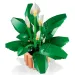 LEGO® Botanicals: Spatifillo (11504)