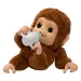 Little Live Pets: Mango, il mio cucciolo di lemure interattivo