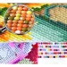 Mosaico di diamanti: Set di pittura con diamanti fenicotteri 10x15cm