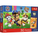 Paw Patrol Puzzle Premium Plus da 30 pezzi con poster per bambini - Trefl