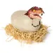 Primal Hatch T-Rex interattivo nella confezione a forma di uovo - Spin Master