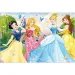 Principesse Disney 2 in 1 puzzle da 60 pezzi e libro da colorare 50x35cm - Lisciani