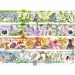 Puzzle 1000 pezzi Quattro Stagioni Premium Plus - Trefl