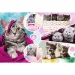 Puzzle 160 pezzi - Gatti carini - Trefl