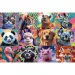 Ritratti divertenti di animali puzzle da 300 pezzi - Trefl
