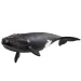 Schleich: Figura di balena nordatlantica (14878)