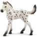 Schleich: Puledro Knabstrupper figura (13890)